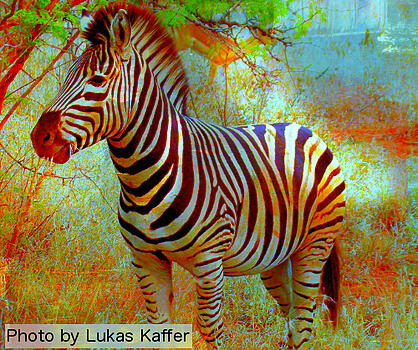 Zebra Leadership People OnTheGo